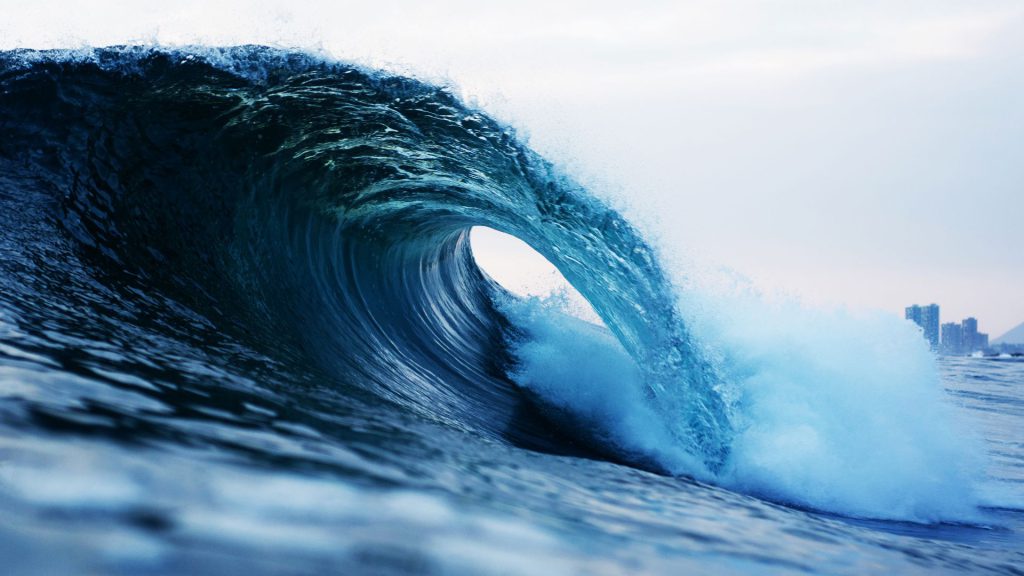 Riding the Waves: Lessons From a Resilient Market in 2024