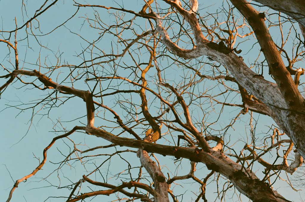 Nastia petruk aihixpxxsm8 unsplash