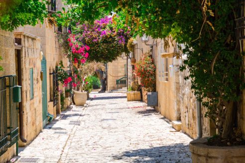 AdobeStock 284391270 (1)